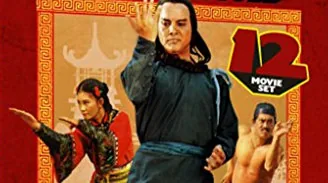 KICKIN’ IT SHAOLIN STYLE – DVD review
