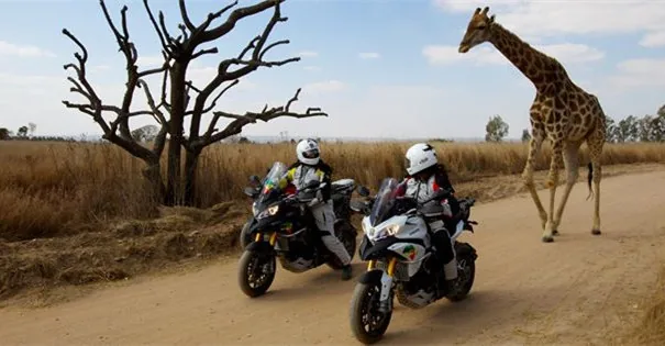 MARLEY AFRICA ROAD TRIP - DVD review
