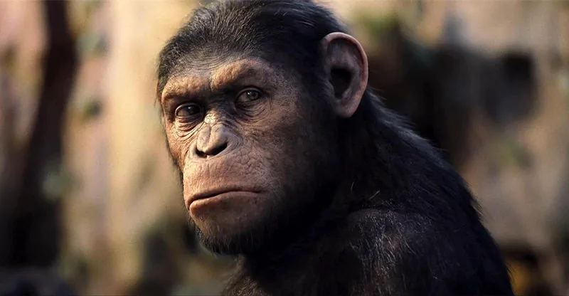 RISE OF THE PLANET OF THE APES - Blu-ray review