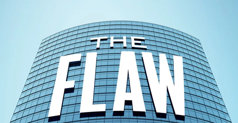 THE FLAW - DVD Review