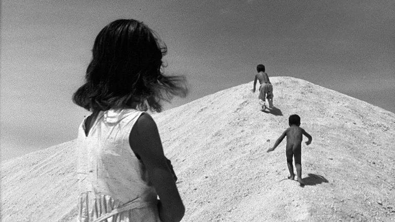 ARAYA - DVD review