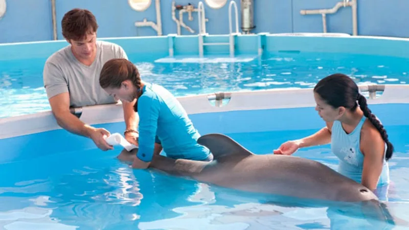 DOLPHIN TALE - Blu-ray review