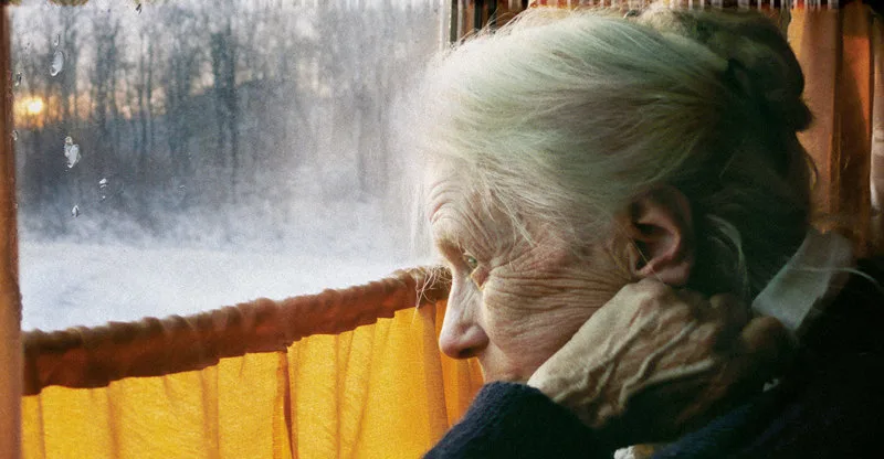 THE WOMAN WITH THE FIVE ELEPHANTS - DVD Review